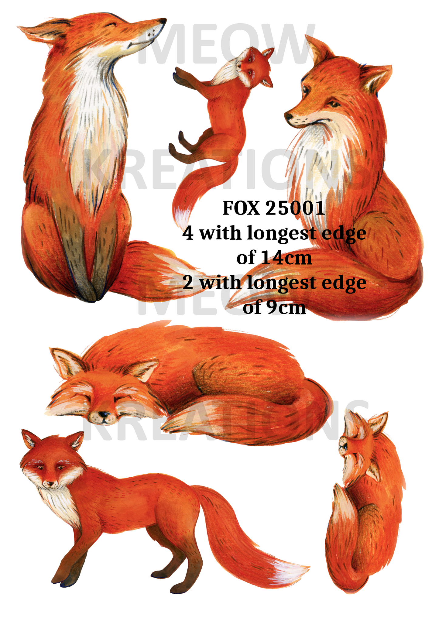 FOX 25001