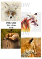 Decoupage Rice Paper – FOX 26002