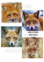 Decoupage Rice Paper – FOX 27002