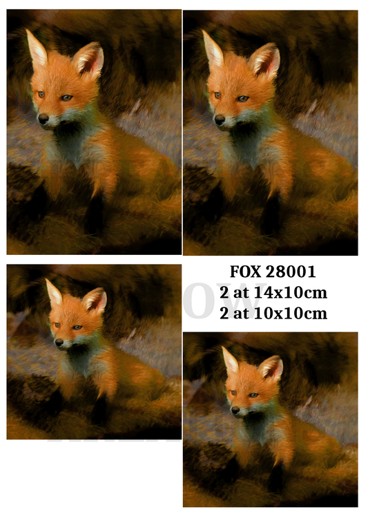 FOX 28001