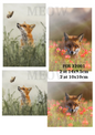 Decoupage Rice Paper – FOX 32001