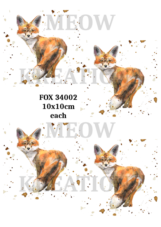 FOX 34002