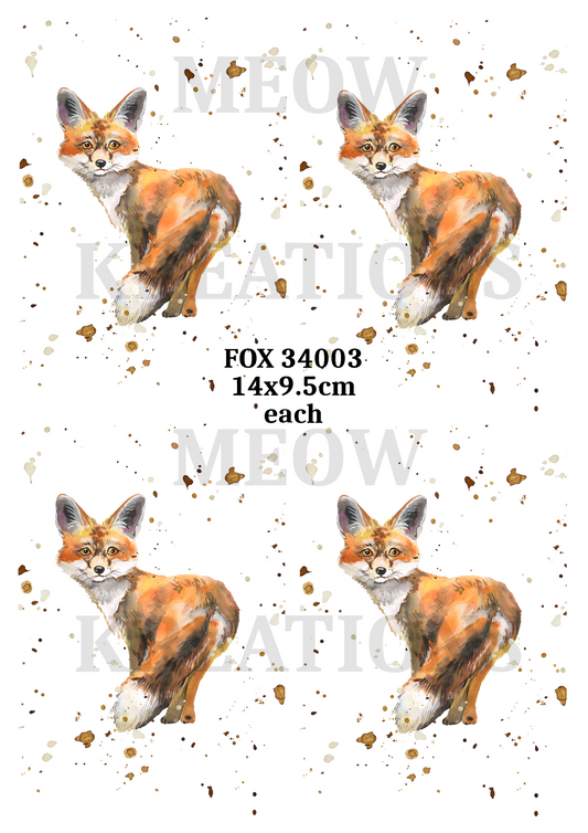 FOX 34003