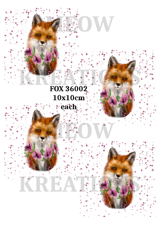 FOX 36002