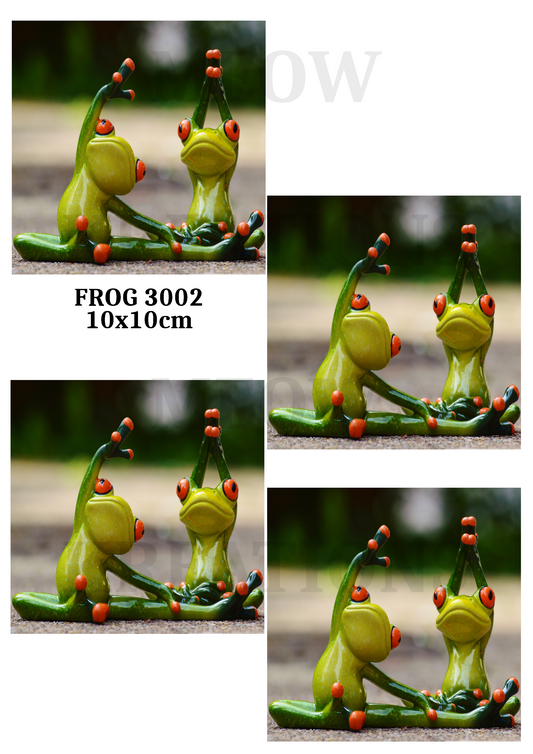 FROG 3002