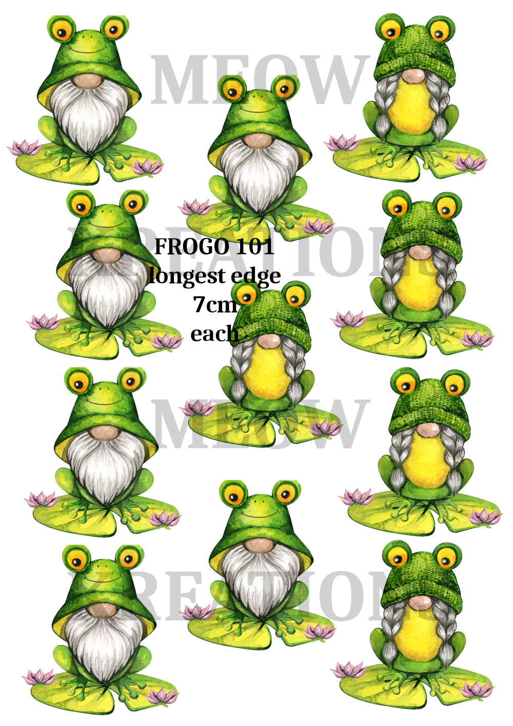 FROSCH 101