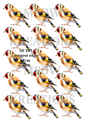 Decoupage Rice Paper – GF 201