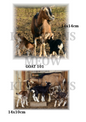 Decoupage Rice Paper – GOAT 101