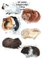 Decoupage Rice Paper – GP 16002