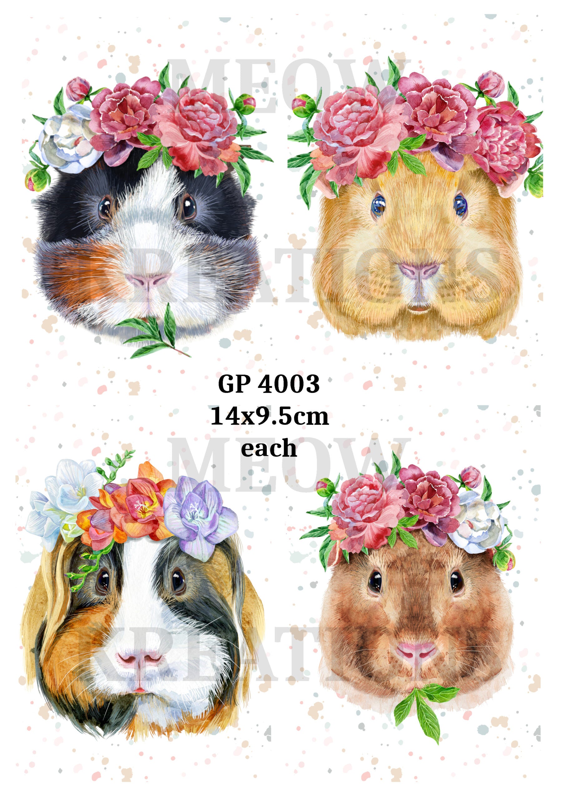 GP 4003 – Meowkreations