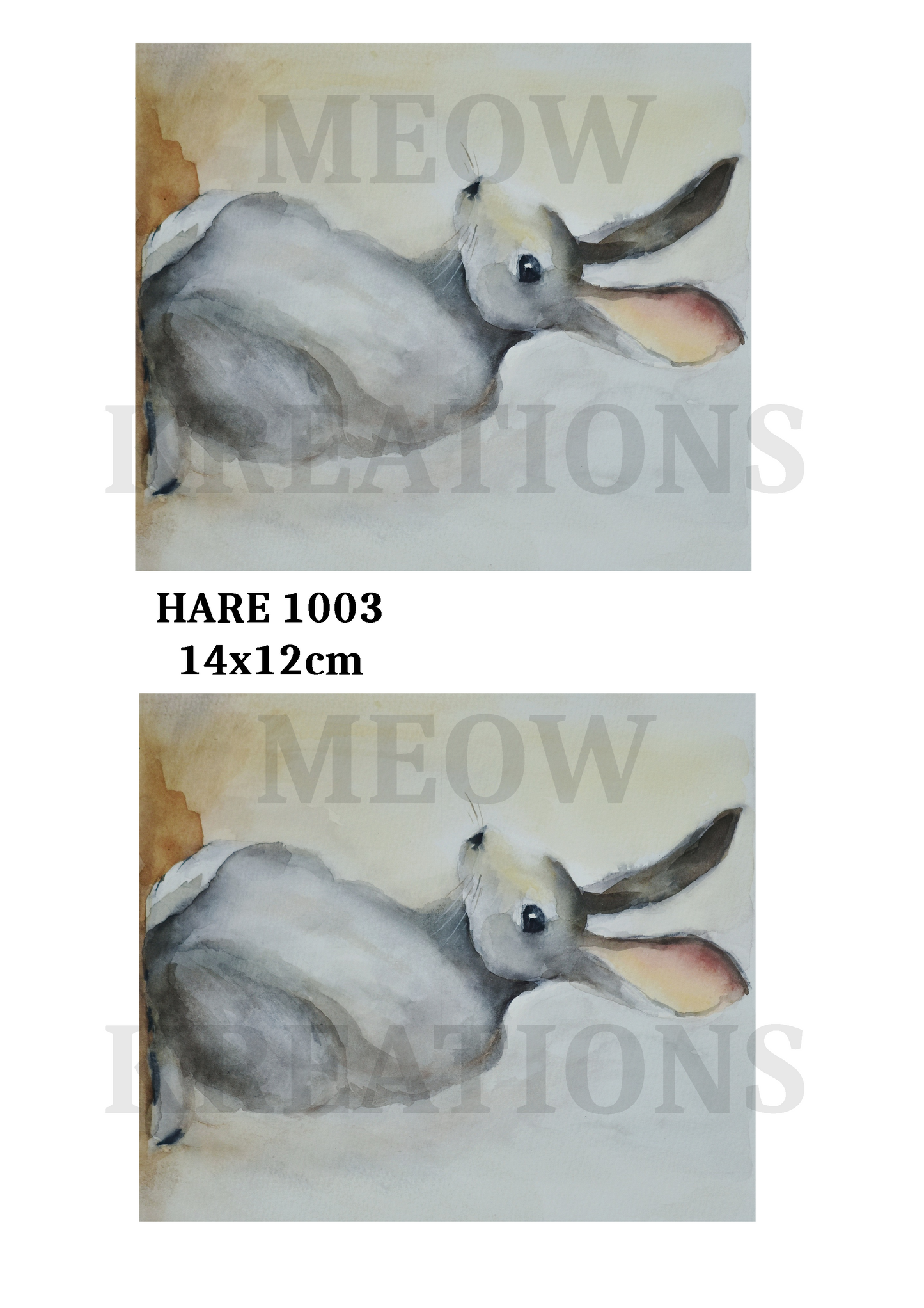 HASE 1003