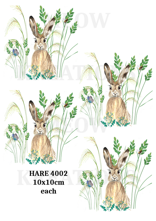 HARE 4002