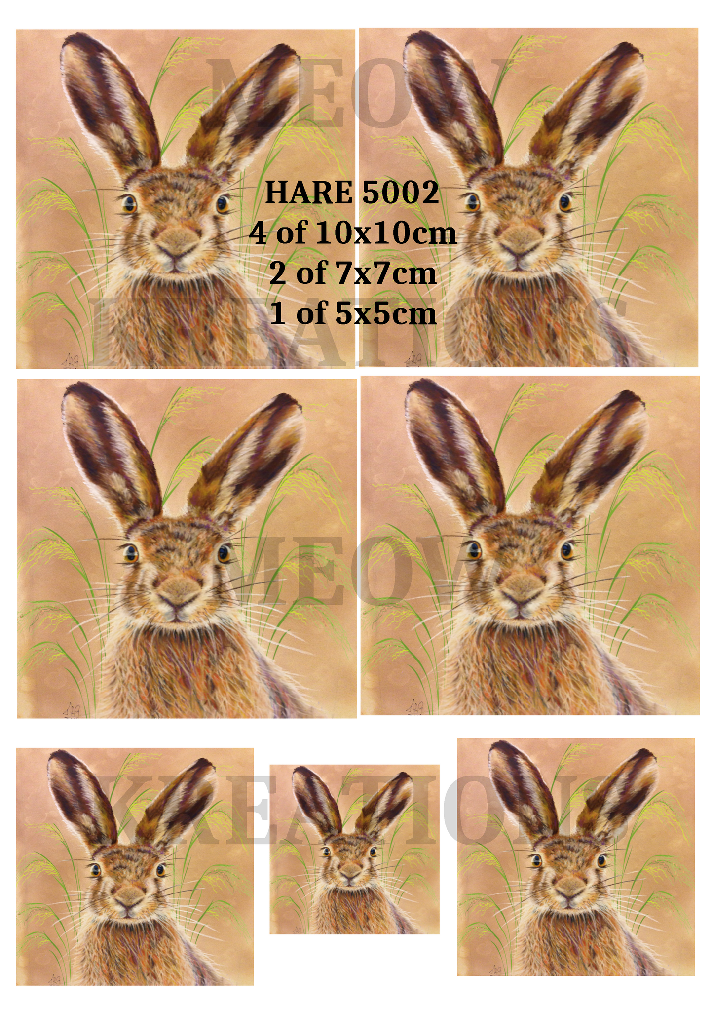 HARE 5002