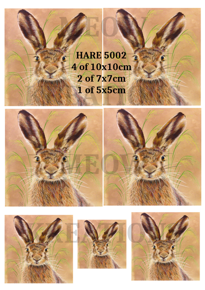 Hare Decoupage Rice Paper - HARE 5002