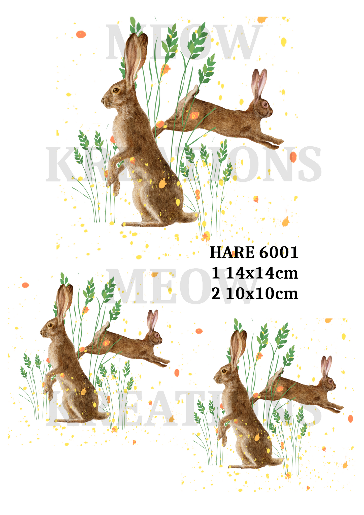 HASE 6001