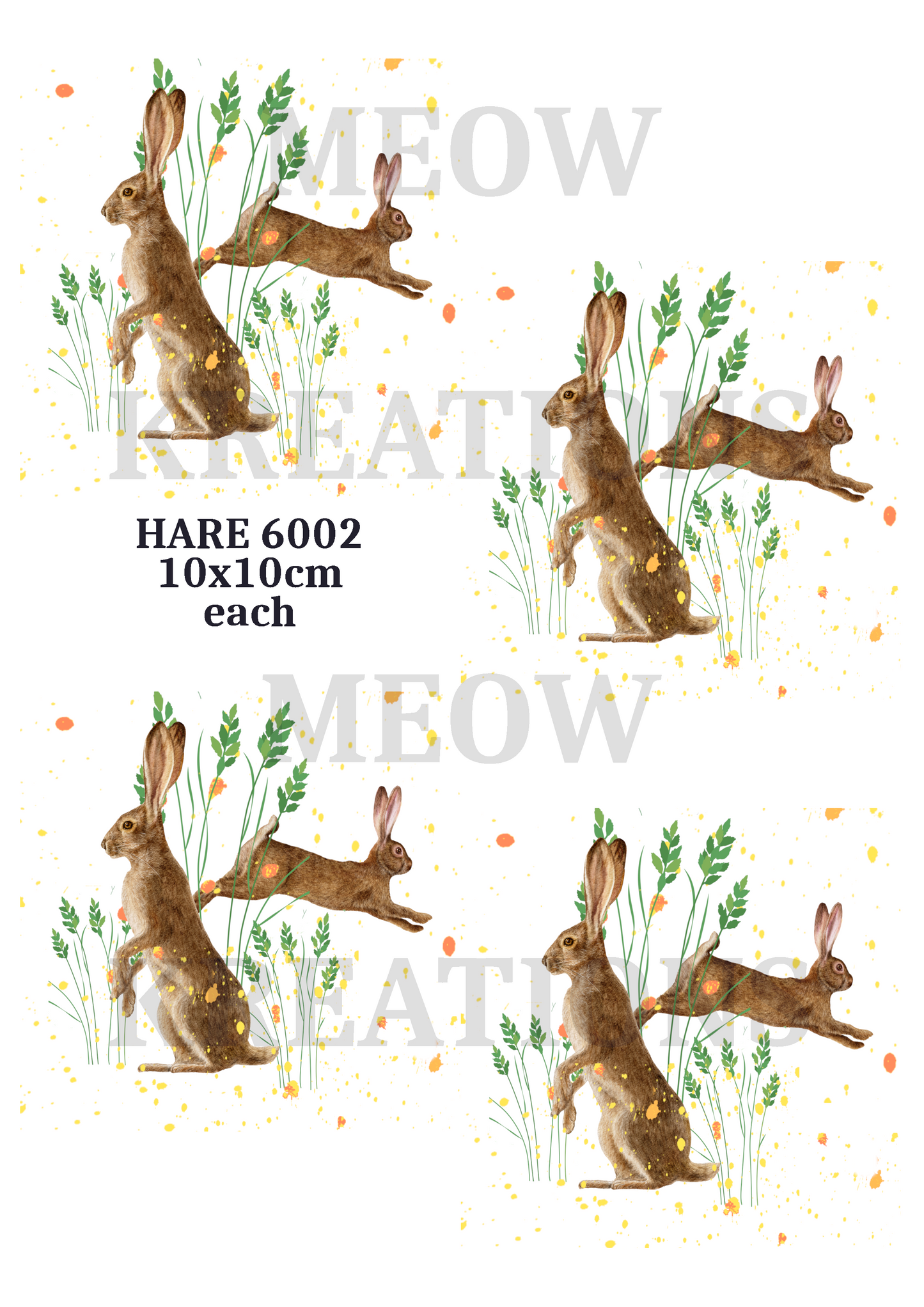 HASE 6002