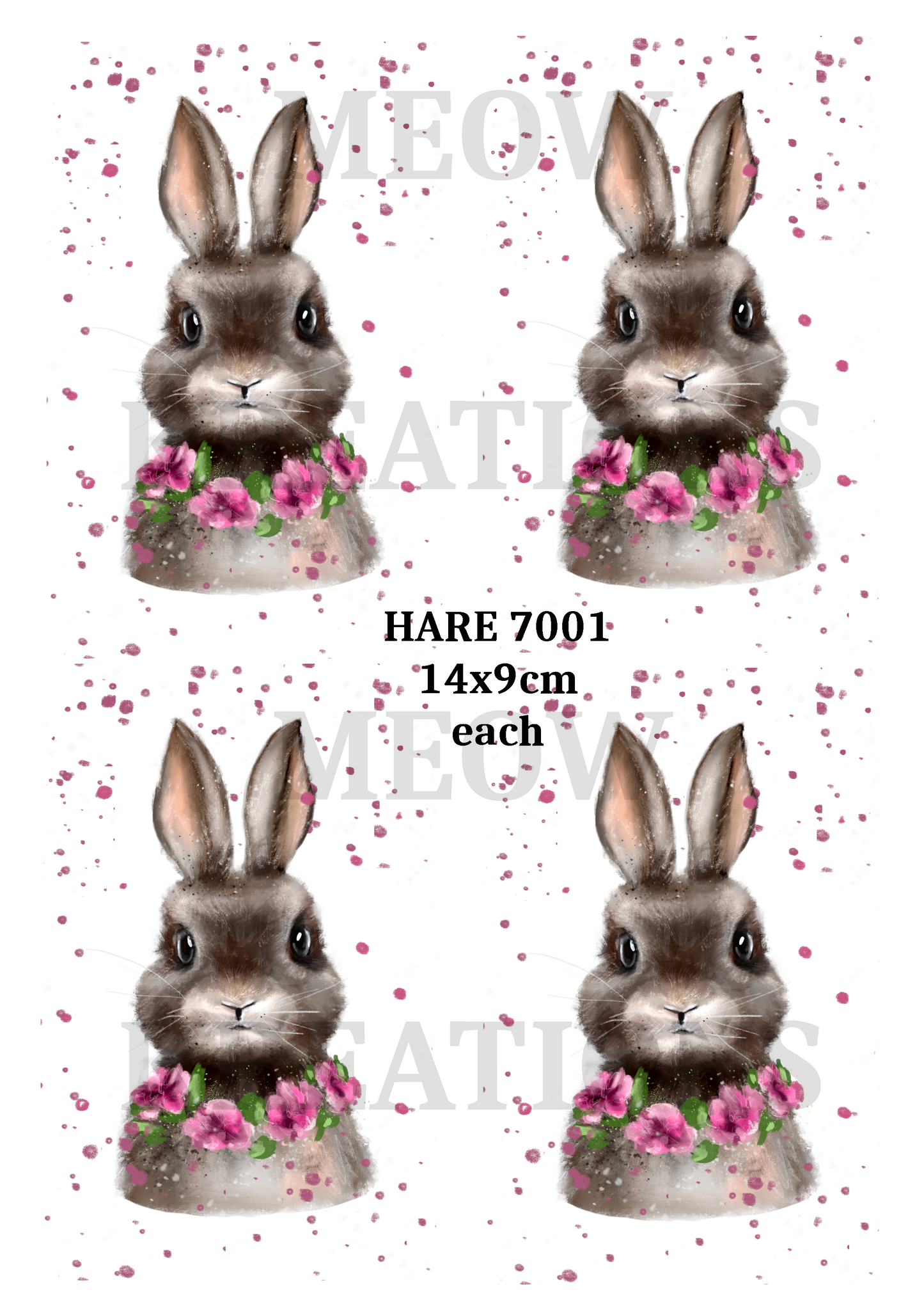 HASE 7001