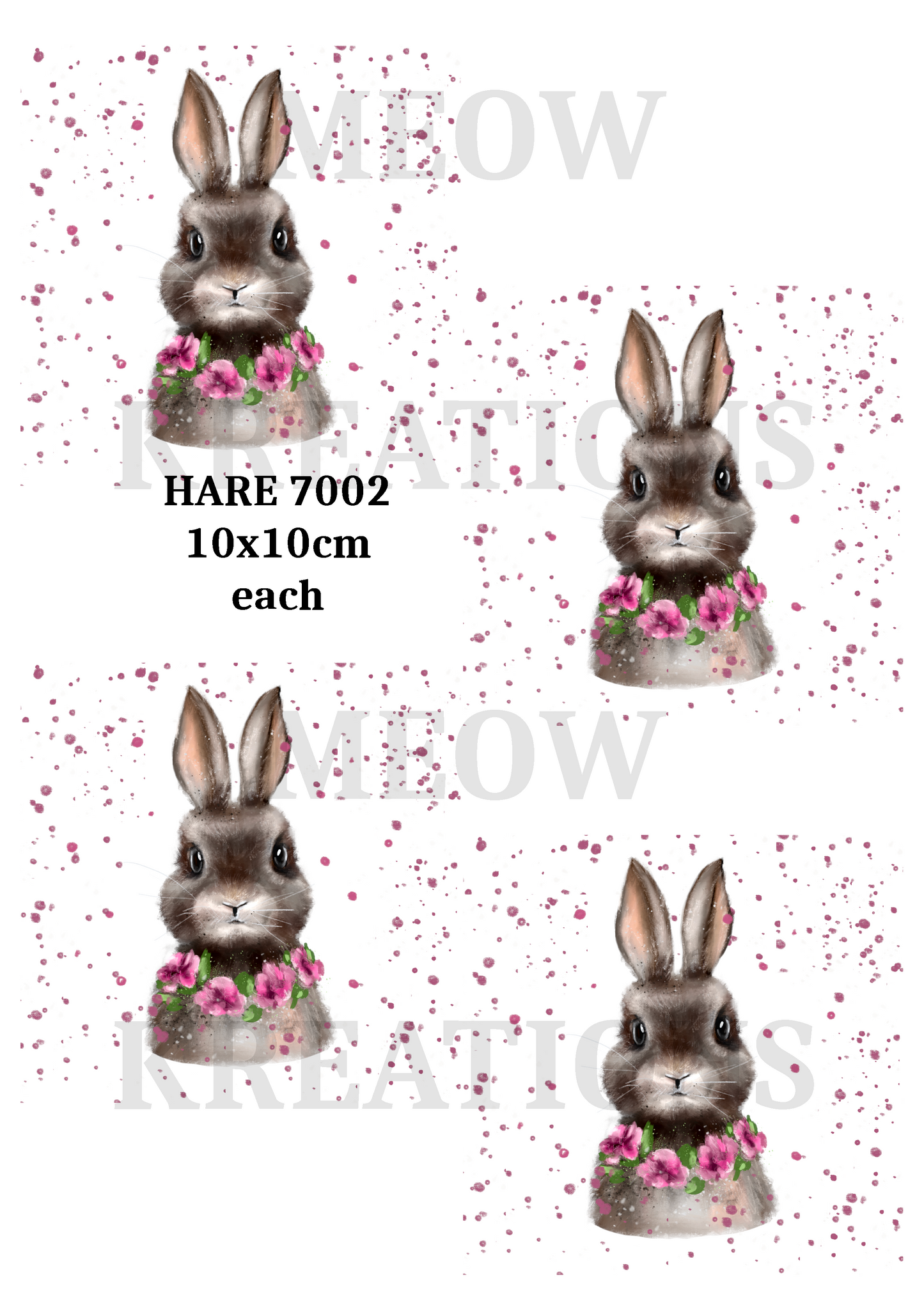 HASE 7002