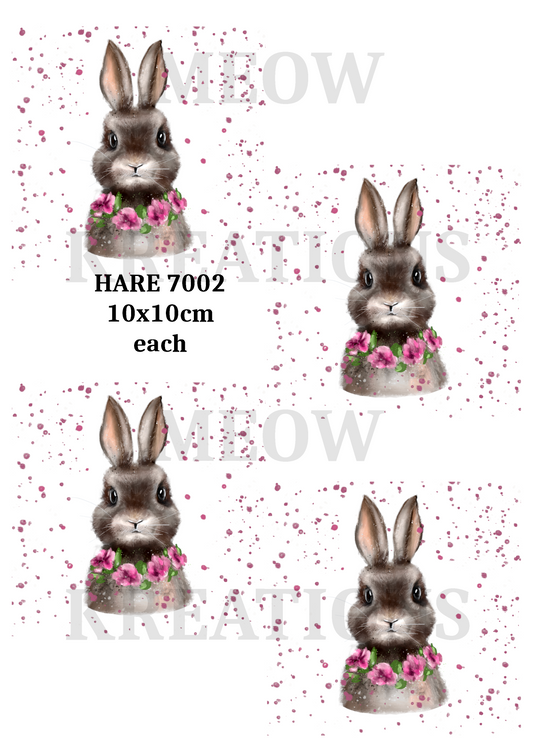 HARE 7002