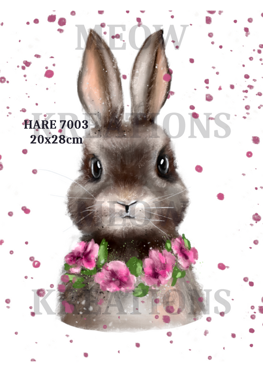 HARE 7003