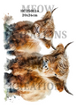 Highland Cow Decoupage Rice Paper - HC 25001a