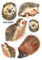 Watercolour Hedgehogs Collection Decoupage Rice Paper - HED 42001