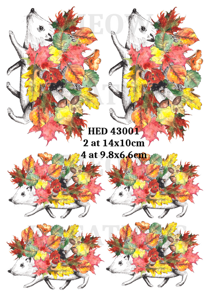 Hedgehog & Autumn Leaves Decoupage Rice Paper - HED 43001