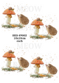 Hedgehog & Toadstool Woodland Decoupage Rice Paper - HED 49002