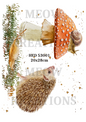 Hedgehog Snail & Toadstool Woodland Decoupage Rice Paper - HED 53001