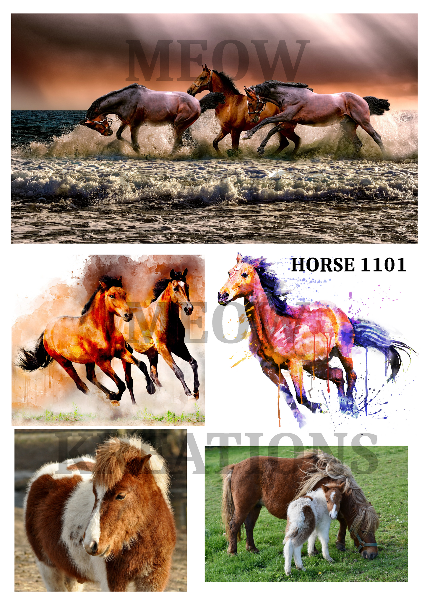 HORSE 1101