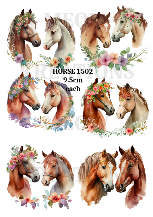 HORSE 1502