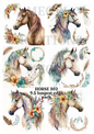CABALLO 302