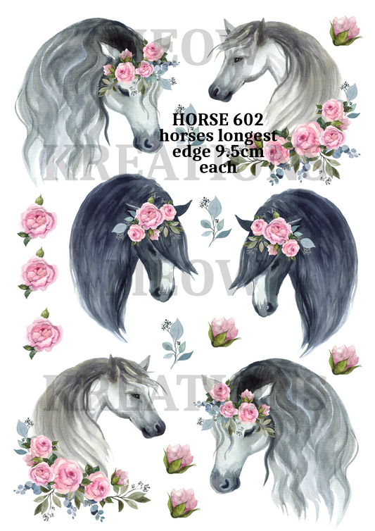 HORSE 602