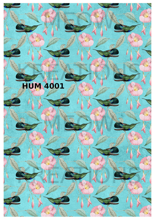 HUM 4001