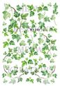Decoupage Rice Paper – IVY 101
