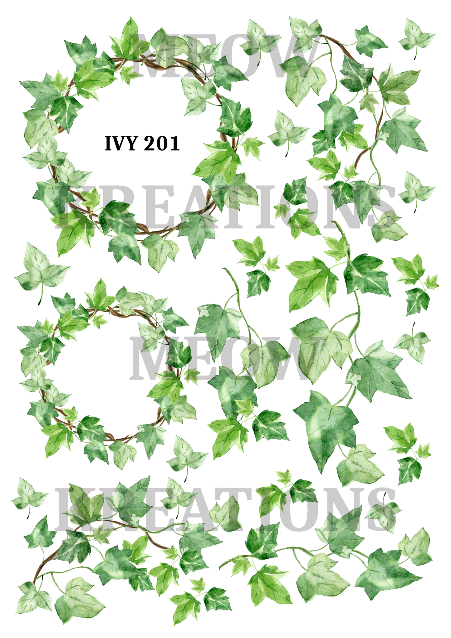 IVY 201