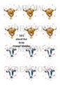 Decoupage Rice Paper - KR 501