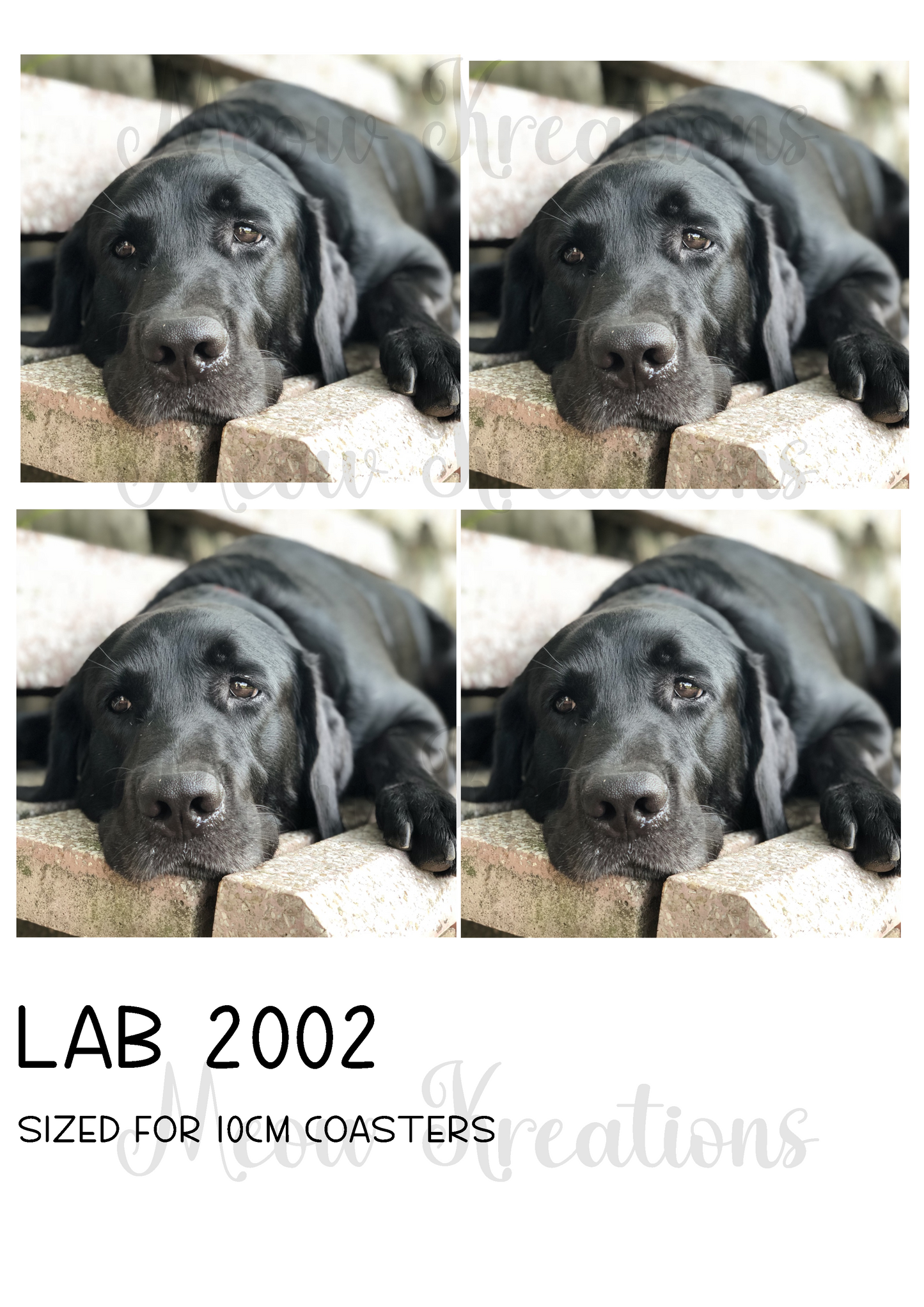 LAB 2002