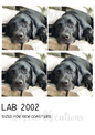 Labrador Decoupage Rice Paper - LAB 2002