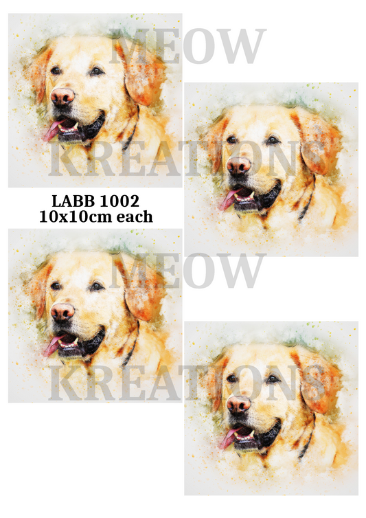 LABB 1002