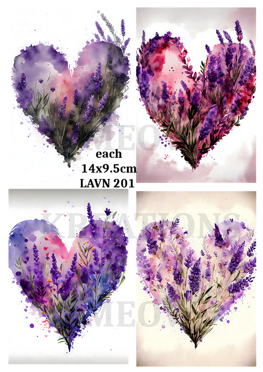 LAVN 201