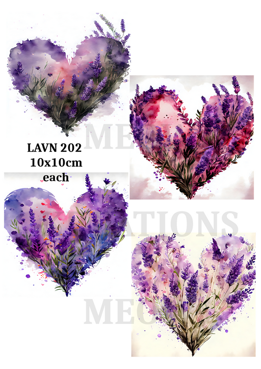 LAVN 202