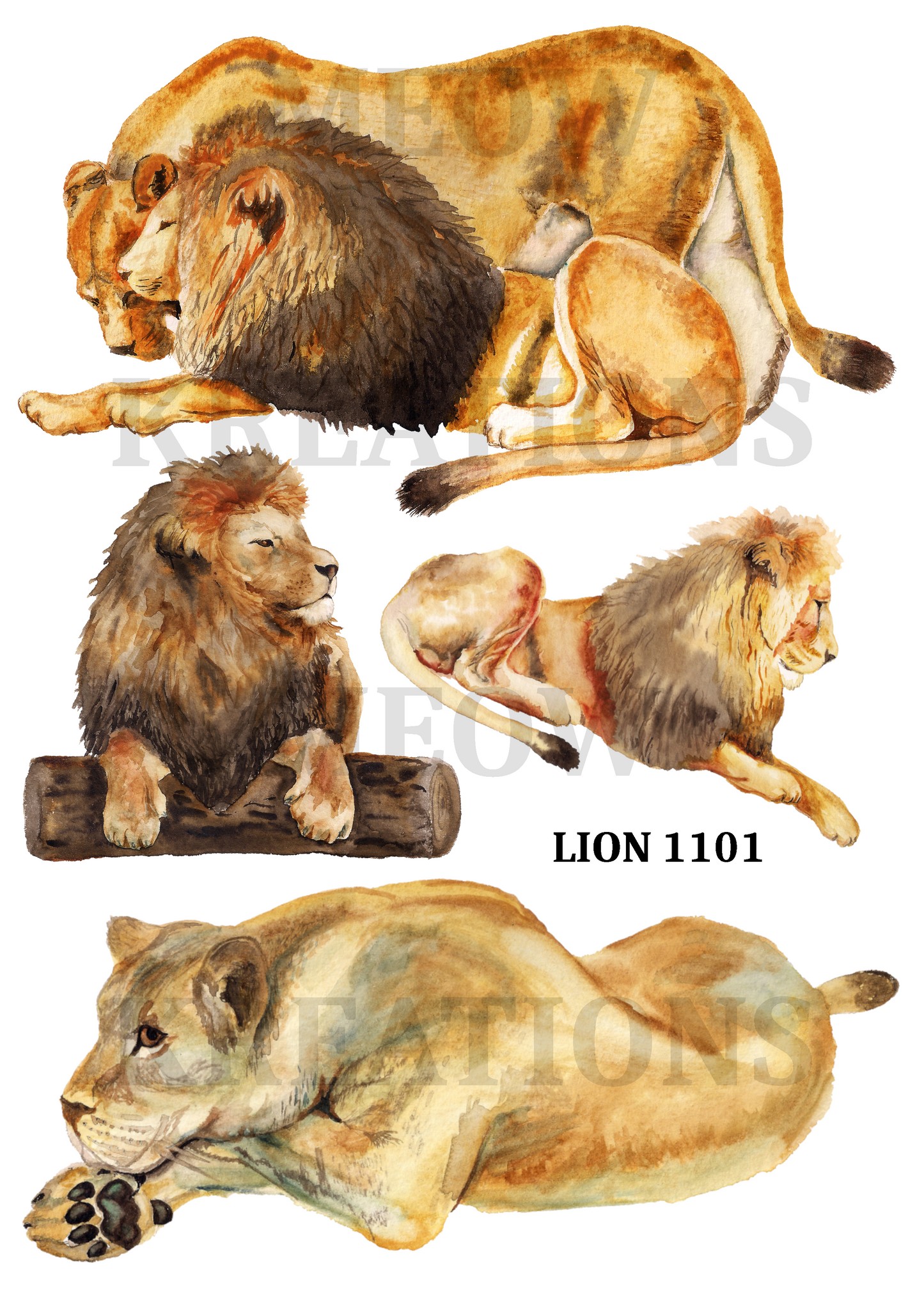 LION 1101