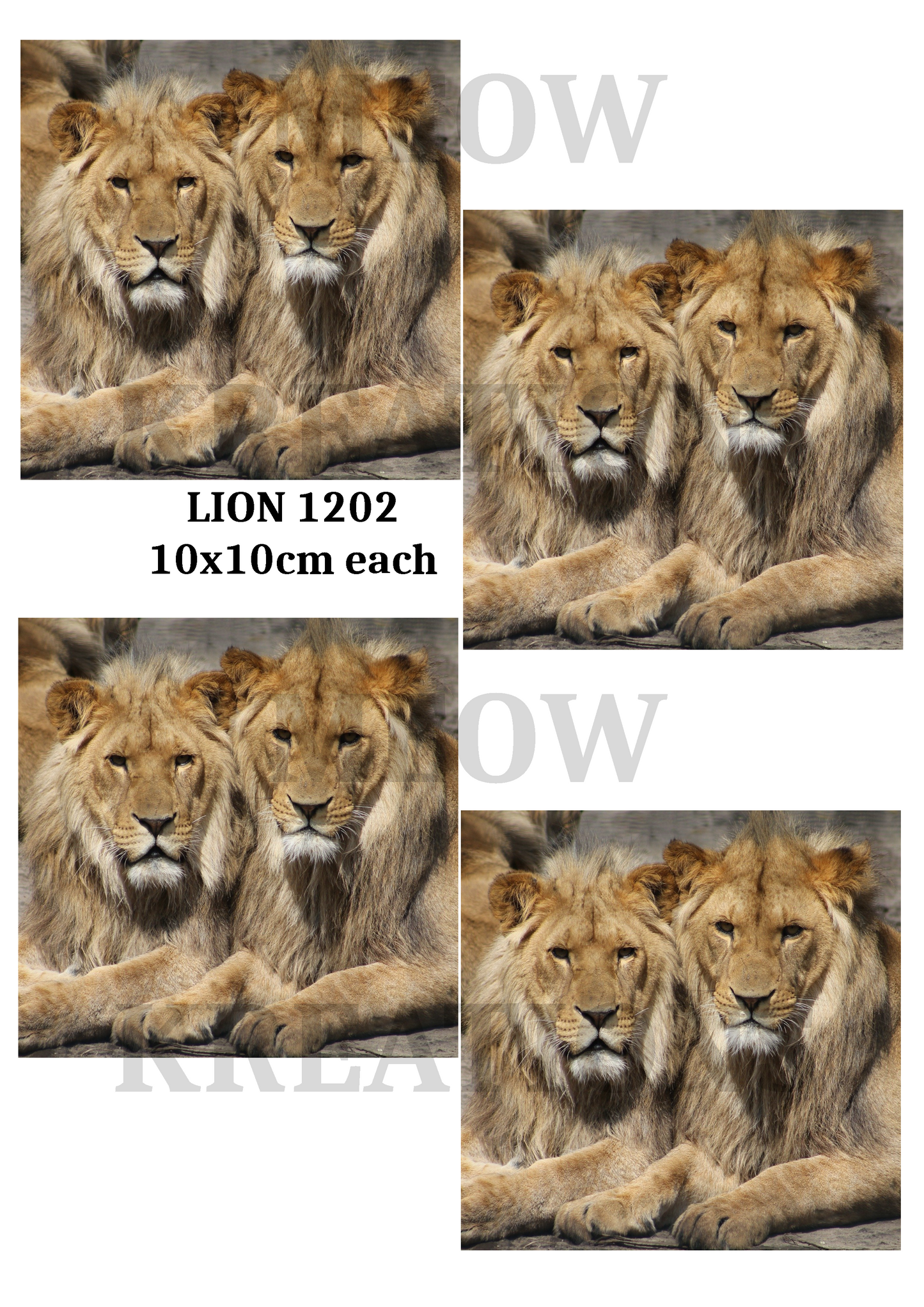 LION 1202