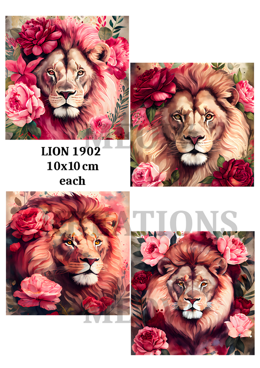 LION 1902