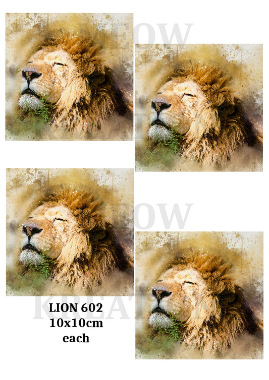 LION 602