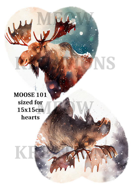 MOOSE 101