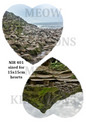 Decoupage Rice Paper - NIR 401