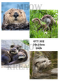 Realistic Otter Collection Decoupage Rice Paper - OTT 302
