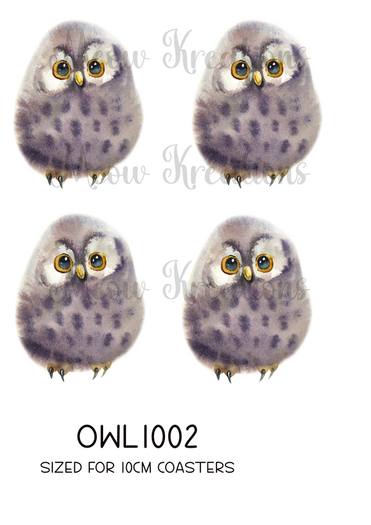 OWL 1002